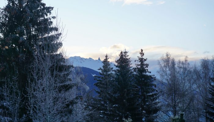 Verdiepingsweek in Zwitserland